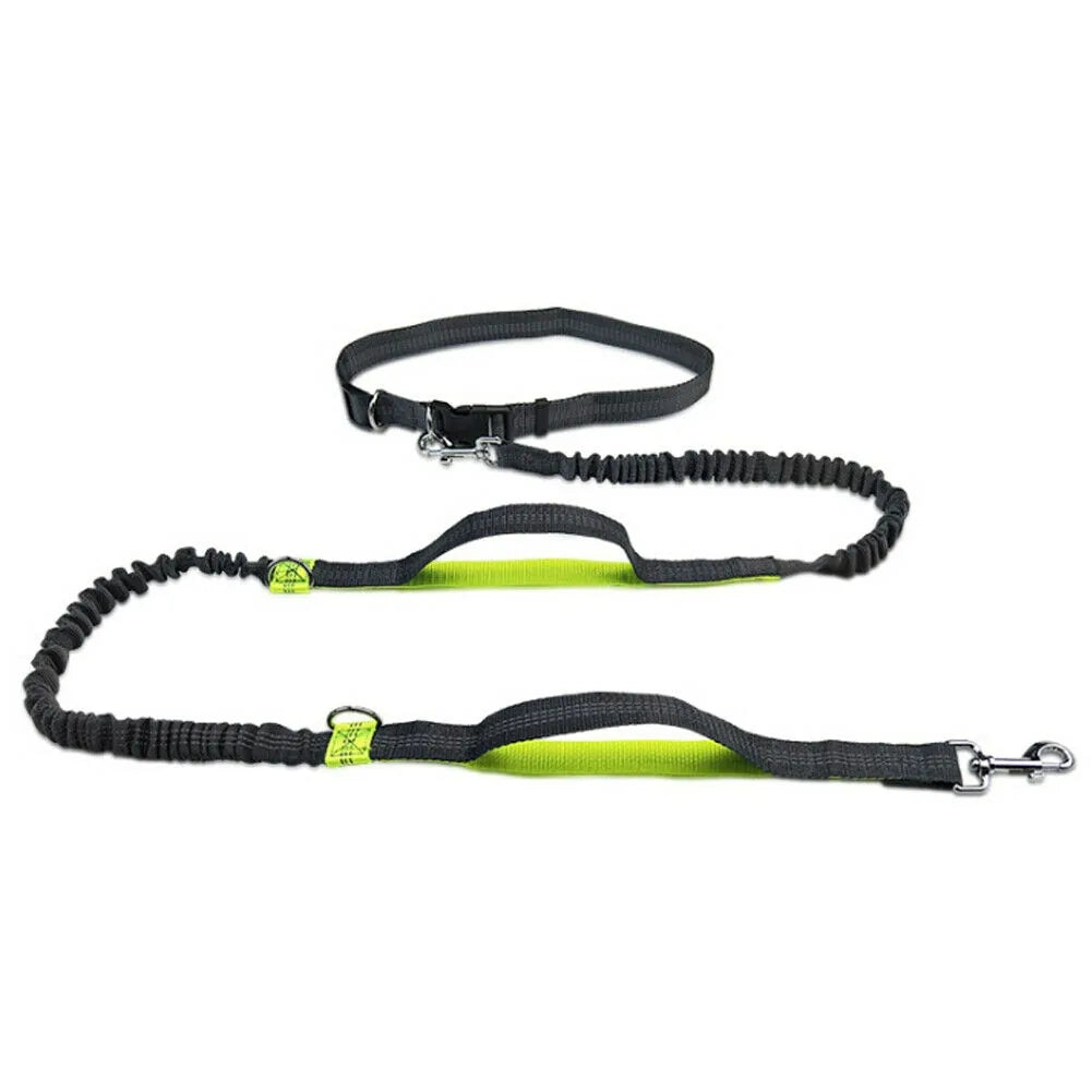 Reflective Rope Pet Leashes: Where Safety Meets Style!