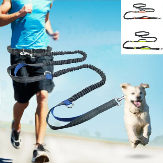 Reflective Rope Pet Leashes: Where Safety Meets Style!