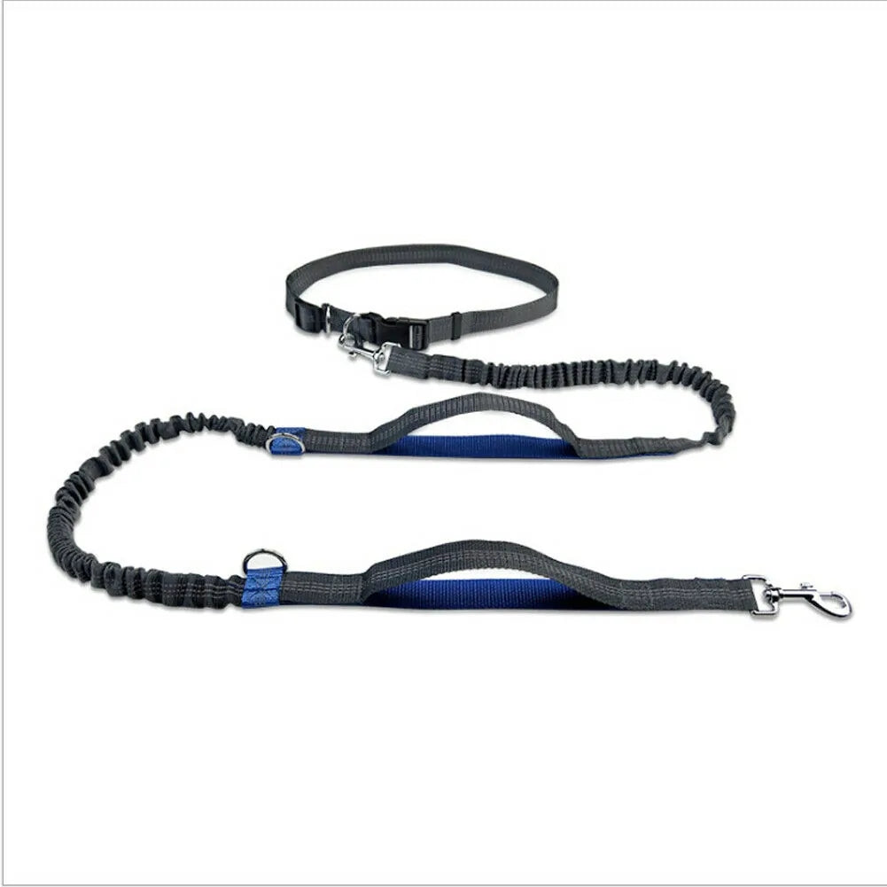 Reflective Rope Pet Leashes: Where Safety Meets Style!