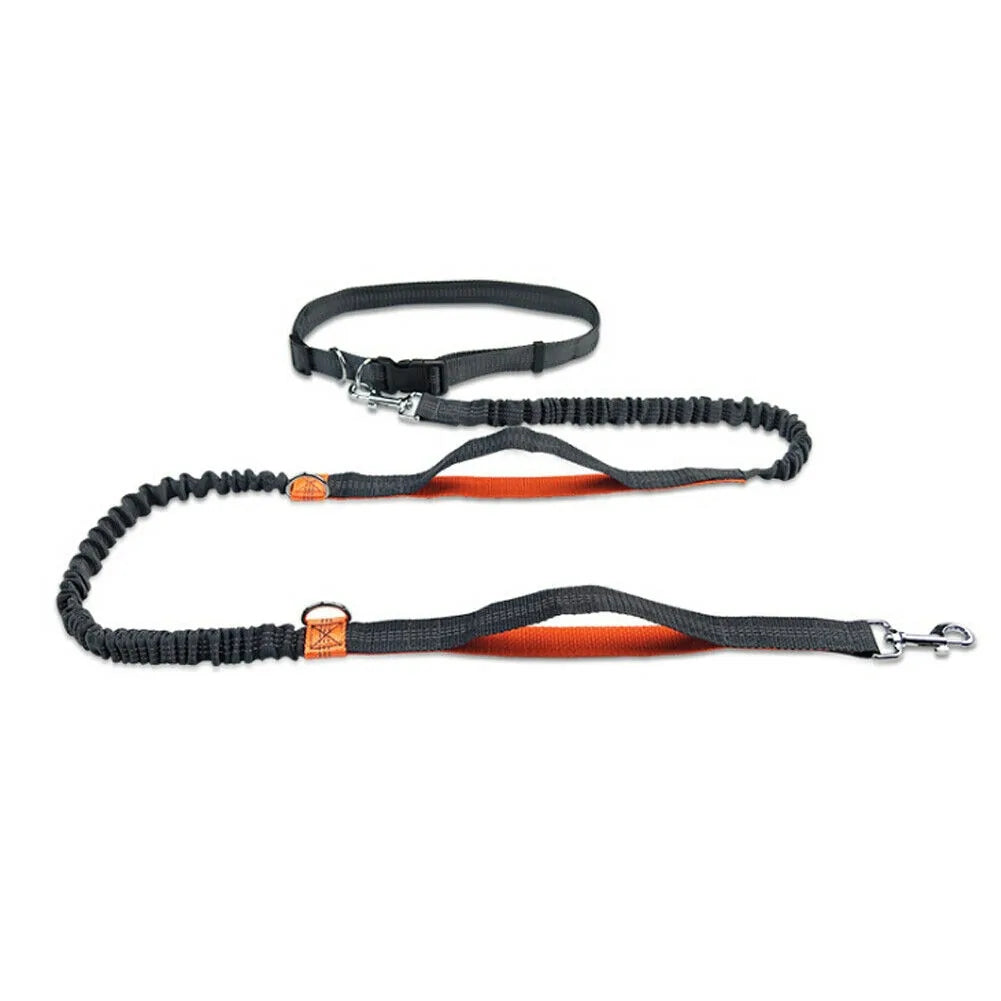 Reflective Rope Pet Leashes: Where Safety Meets Style!