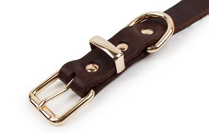 Leather Dog Collar