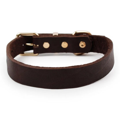 Leather Dog Collar