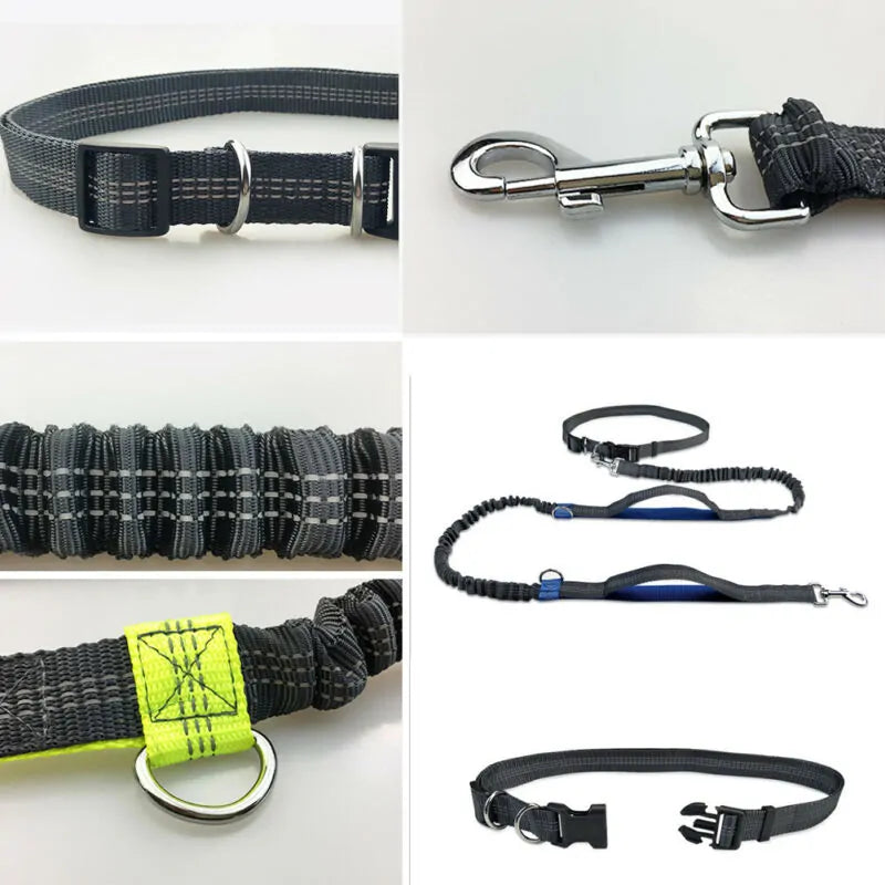 Reflective Rope Pet Leashes: Where Safety Meets Style!